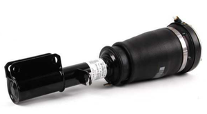 BM-105-015F Air Suspension Strut for BMW E53 Front Left